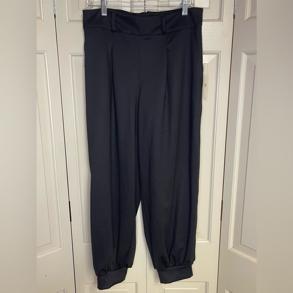 P44 NWT Anthropologie Size Large Black Cuffed Full Leg Pleated Pants Back Zipper